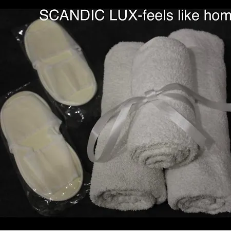 Scandic-lux Apartments-feels Like Home! в центрі львова *